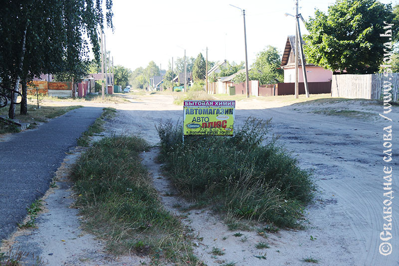 Оазисы на улице Пушкина в Рогачеве