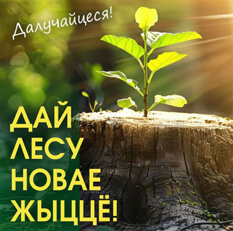 Только вместе!