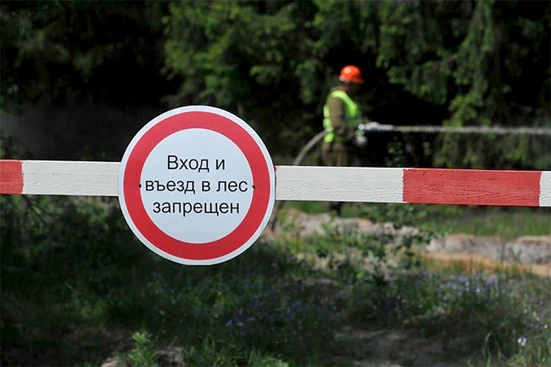 В Рогачеве все еще нельзя ходить в лес