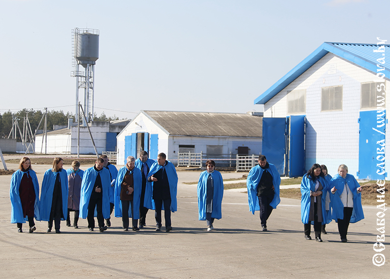 Говорите правду! Глава Белстата Инна Медведева пообщалась с аграриями Рогачевщины