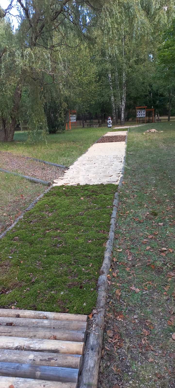 Место единения с природой.  На Рогачевщине создают уникальный дендропарк