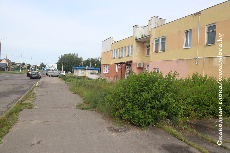 Быть или не быть? Цветам