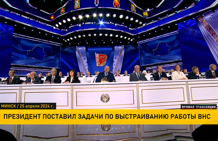 Президент поставил задачи по выстраиванию работы ВНС