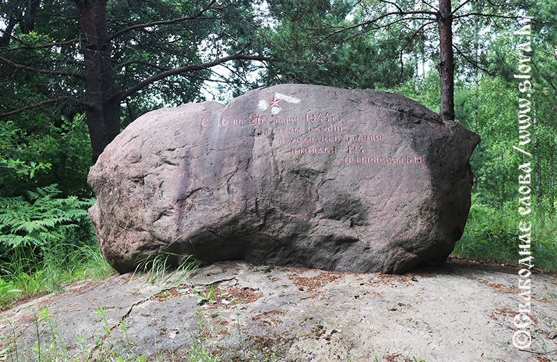 Лесной следопыт. Лесовод из Рогачева Михаил Контанистов  помогает вернуть имена героев