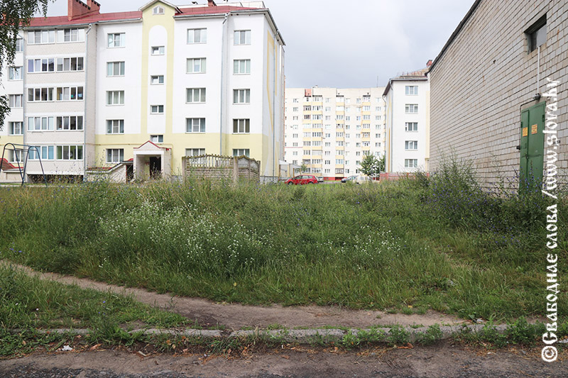 По улицам Рогачева пройду,  трава – по пояс…