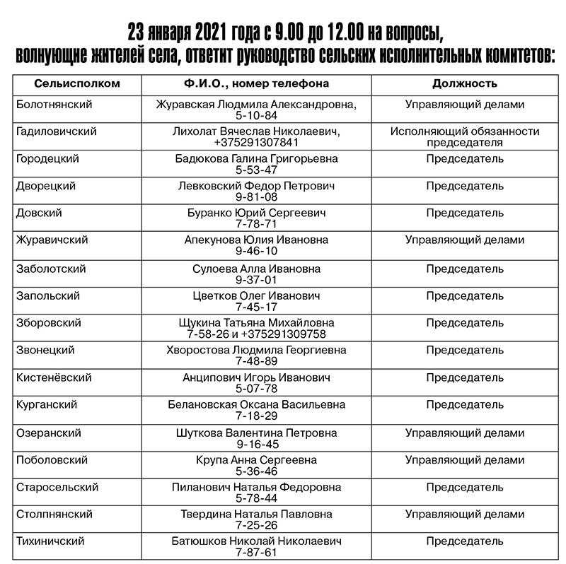 23 января 2021 года пройдут прямые линии в Рогачевском районе
