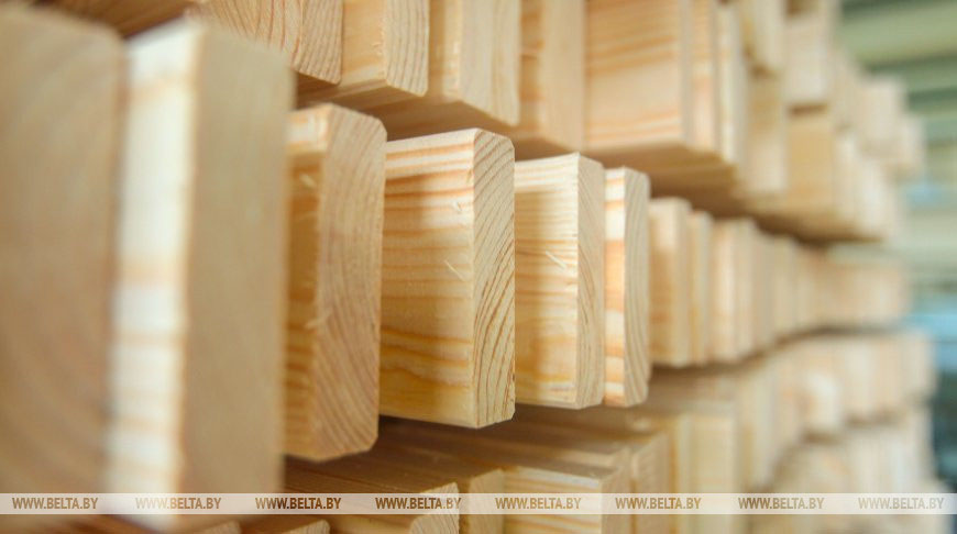 Минлесхоз планирует открыть магазины розничной торговли во всех областях Беларуси к апрелю 2023 года