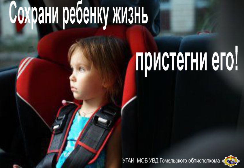 Рогачевцы, помните: «Ребенок – главный пассажир!»