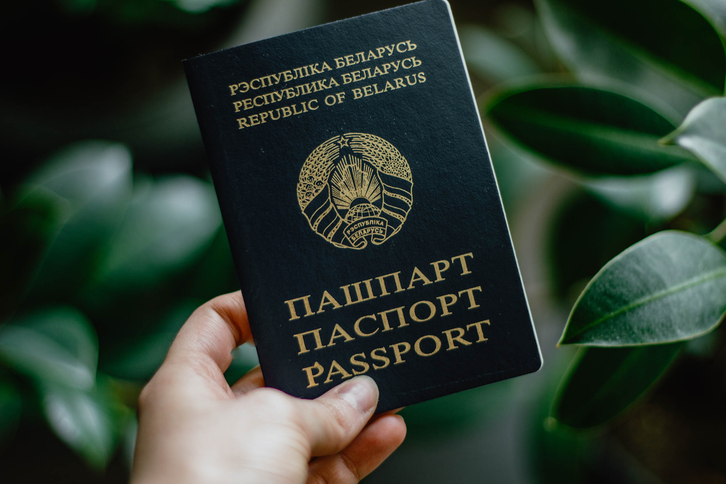 Подтверди личность  и получай пенсию