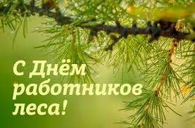 15 сентября - День работников леса