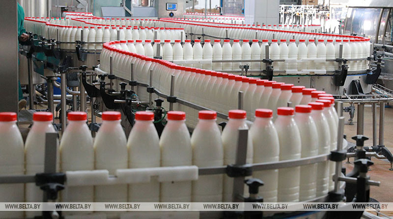 Производство продуктов питания в Беларуси в январе-октябре выросло на 3,6%