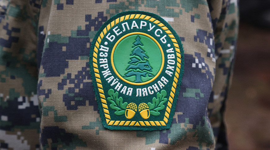 Лесная охрана перейдет на усиленный режим работы с 15 декабря