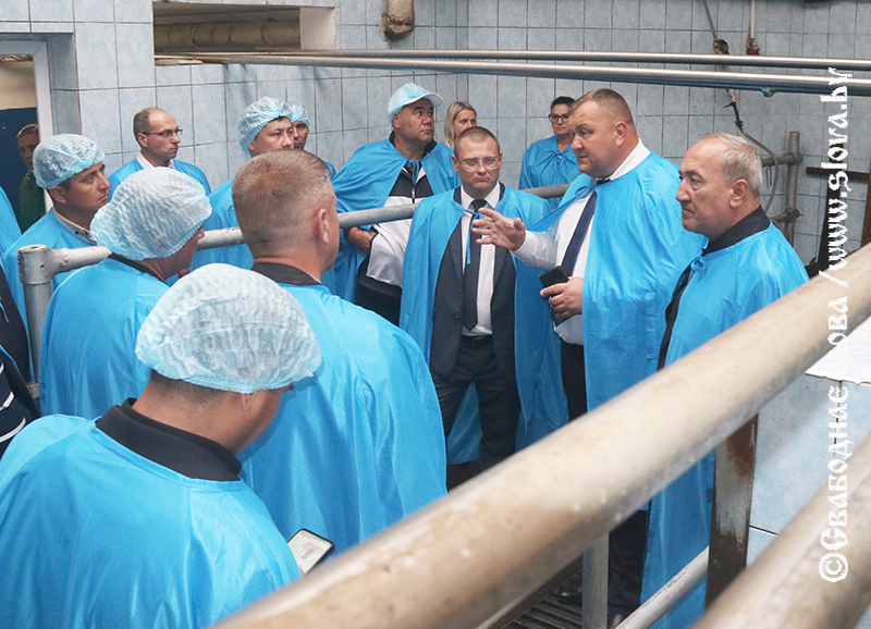 Делегация Навоийской области Узбекистана посетила Рогачевский район