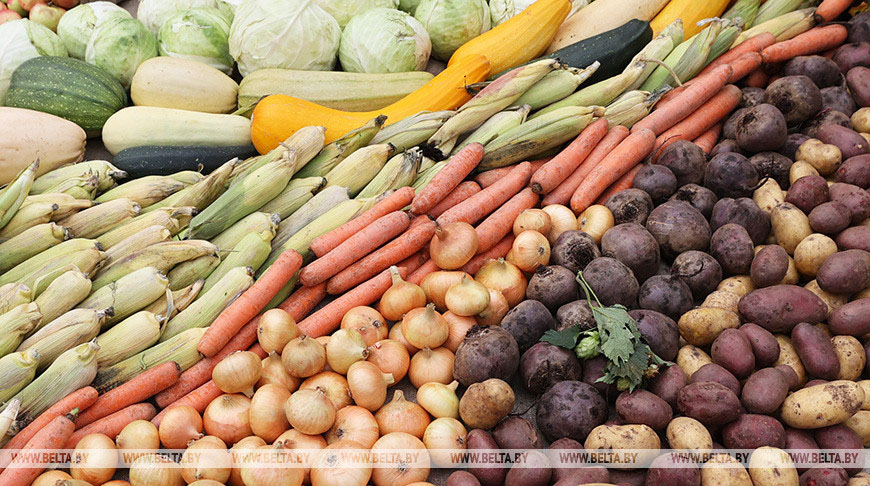 Более 1 тыс. тонн сельхозпродукции реализовали на осенних ярмарках в Гомельской области
