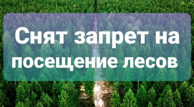 В Рогачевском районе можно ходить в лес!