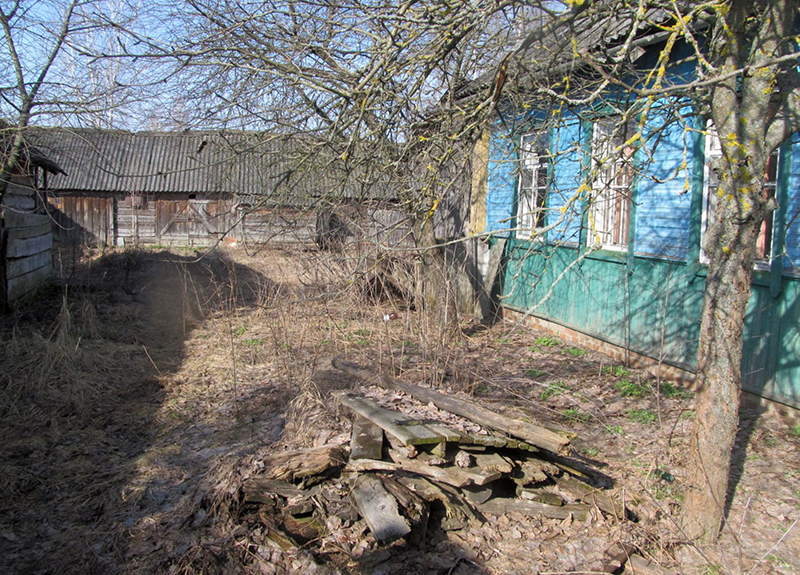 Попали в поле зрения криминалистов