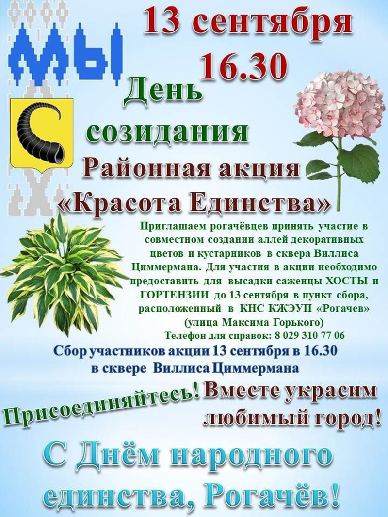 13 сентября в Рогачевском районе пройдет акция "Красота единства"
