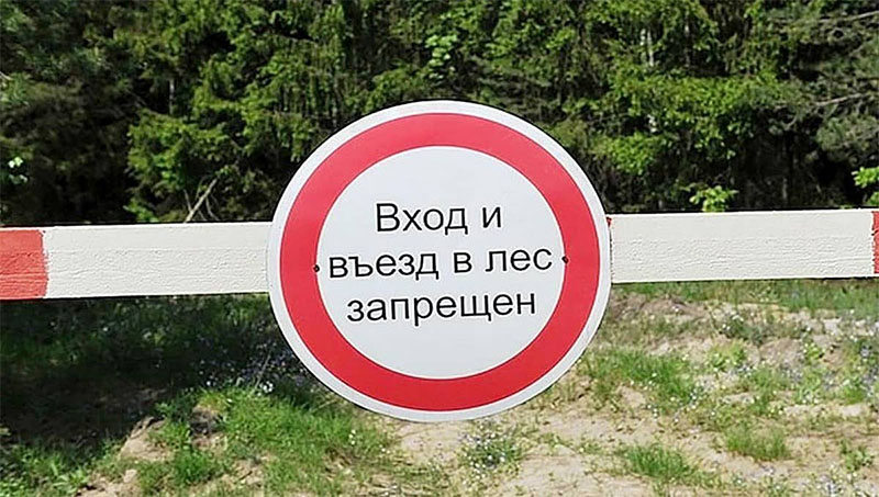 В лес – ни ногой: в Рогачевском районе введен запрет на посещение лесов