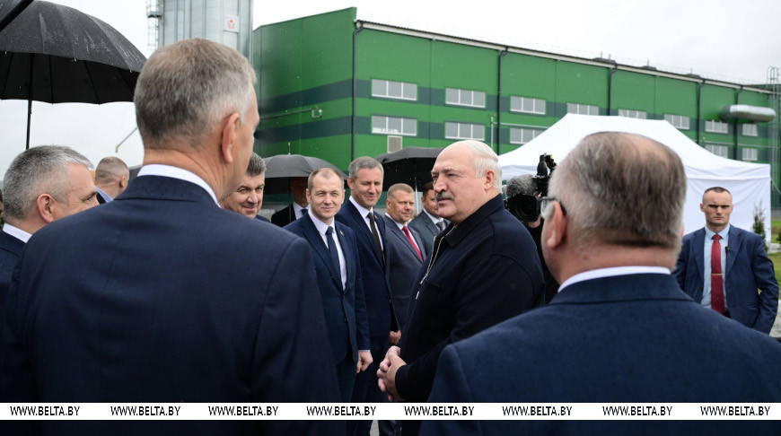 "Это наша перспектива". Лукашенко о производстве пеллет и использовании местных видов топлива