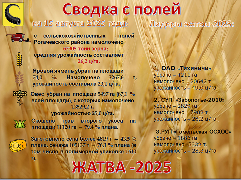 Сводка с полей Рогачевщины на 15 августа 2025 года