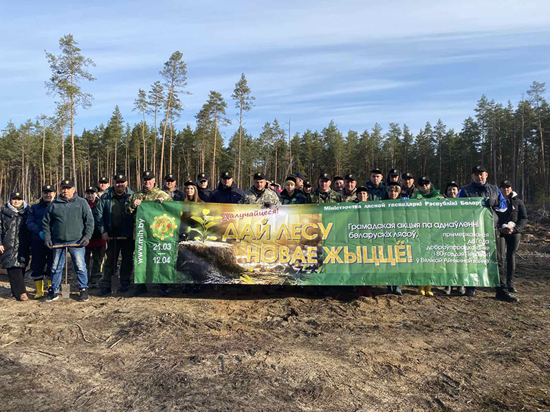Рогачевцы дали старт акции «Дай лесу новае жыццё»