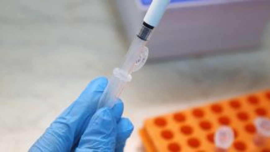 В Венгрии зафиксировали вспышку высокопатогенного птичьего гриппа