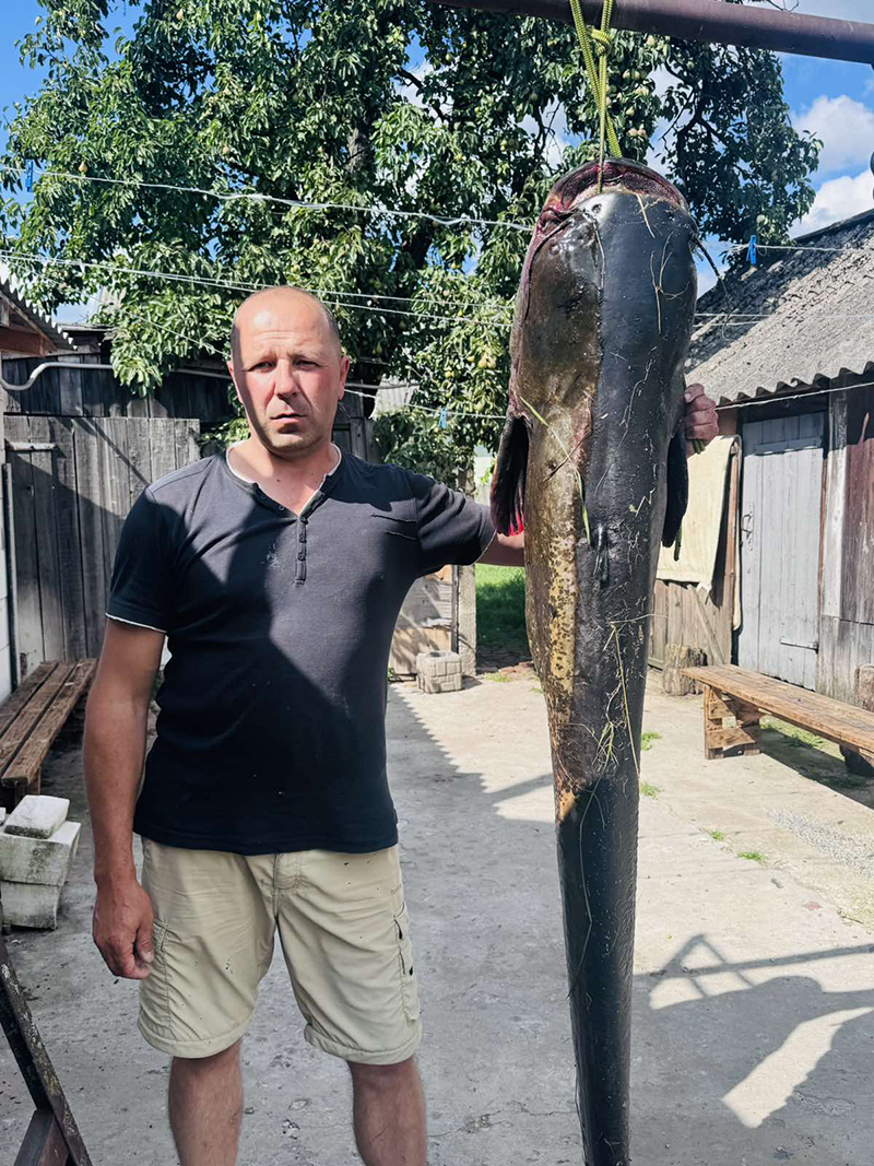 Таксист из Рогачева поймал  гигантского сома