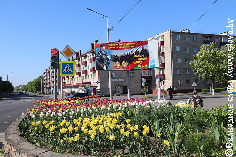 Рогачев украсят цветами и кустарниками