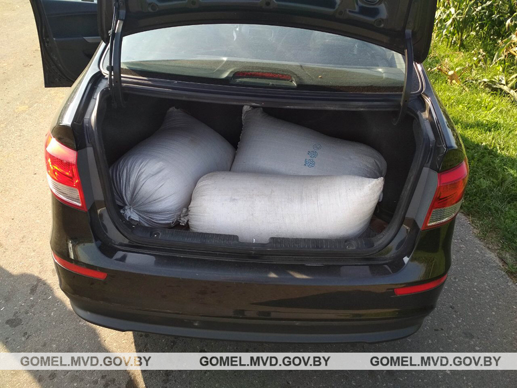 Пятеро жителей Рогачевского района подозреваются в хищении зерна и комбикорма
