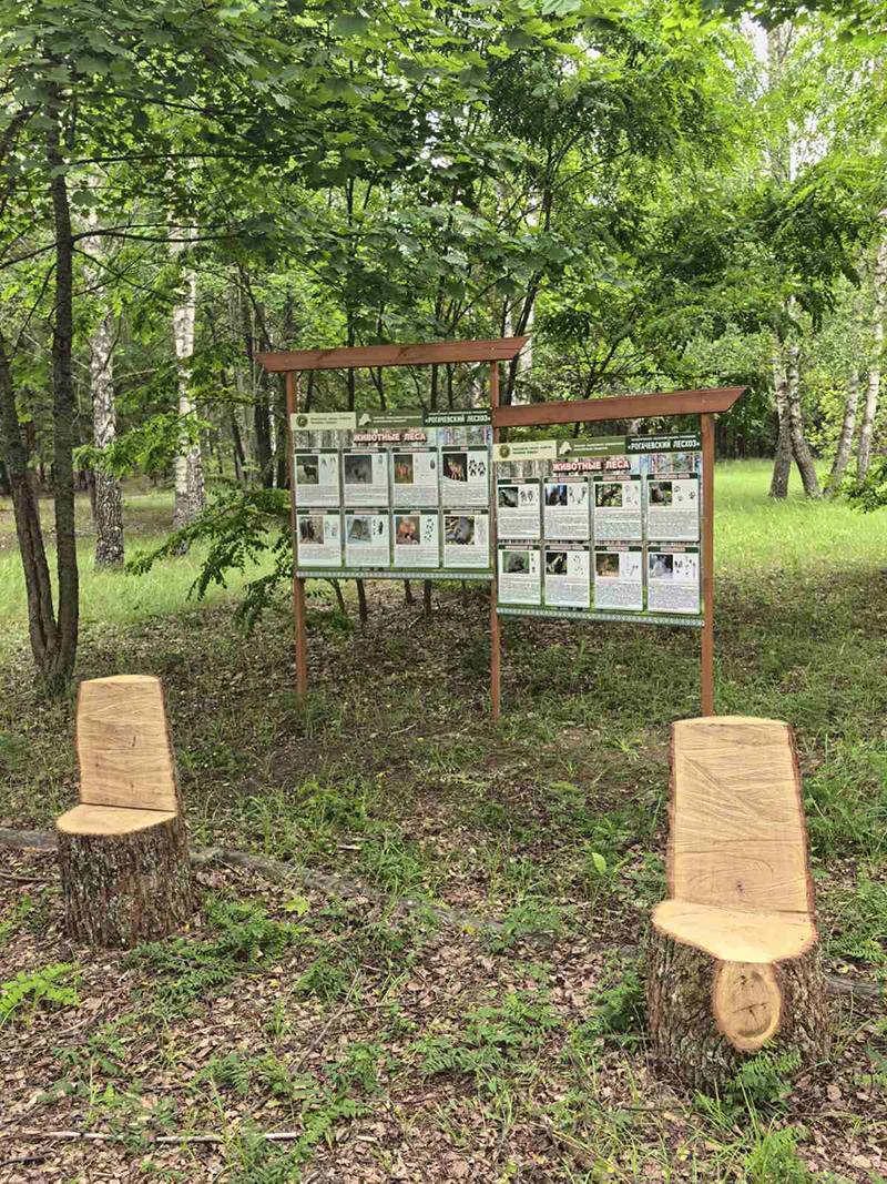 Место единения с природой.  На Рогачевщине создают уникальный дендропарк