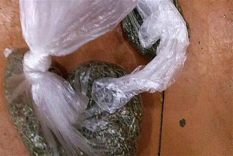 Житель Рогачева хранил марихуану