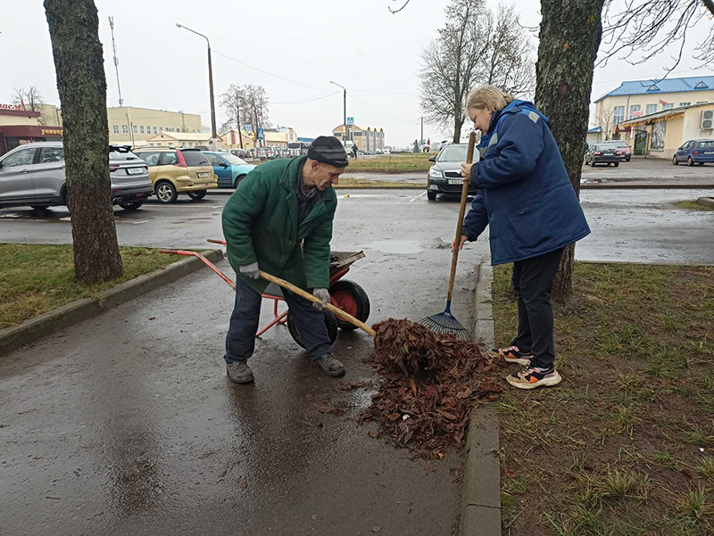 Рогачевцы следят за порядком в родном городе