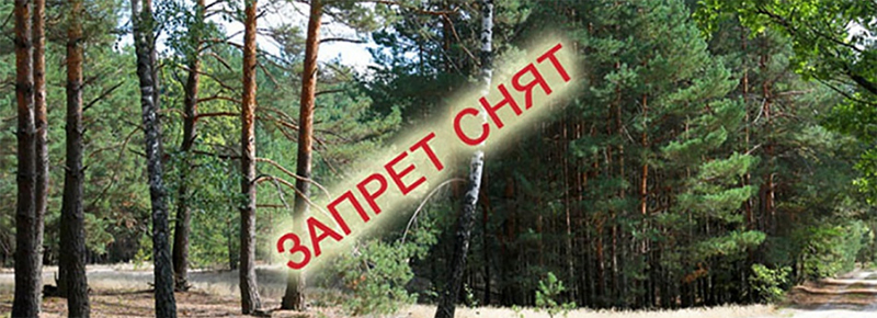 В Рогачевском районе нельзя ходить в лес