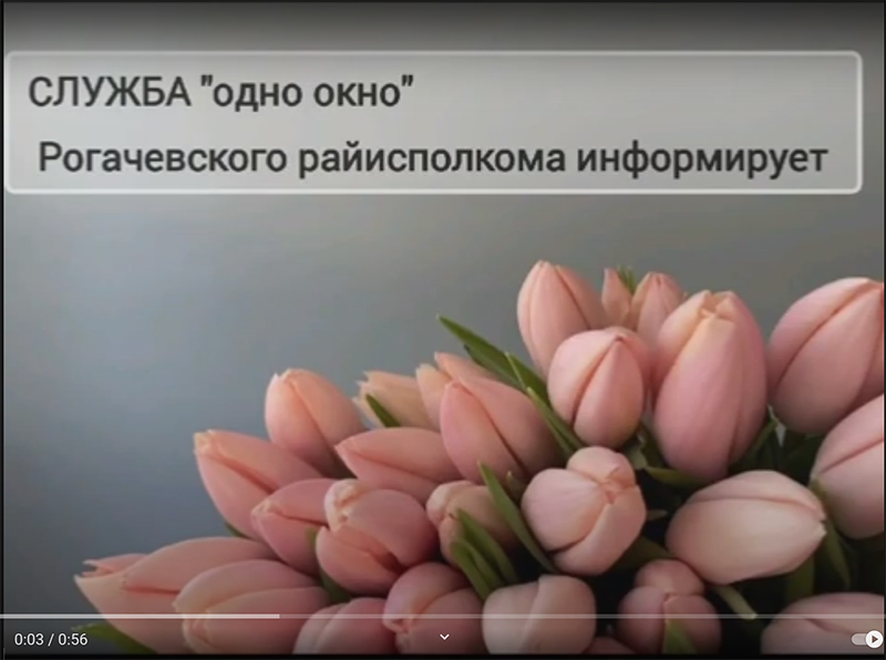 Одно окно. Рогачевский райисполком