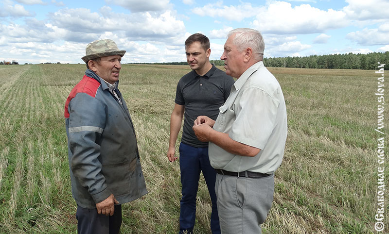Вопрос один в Рогачевском районе: как идет уборка зерновых?