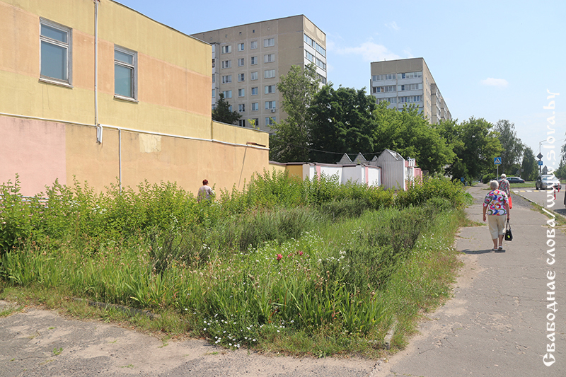 Затерянные в городских джунглях