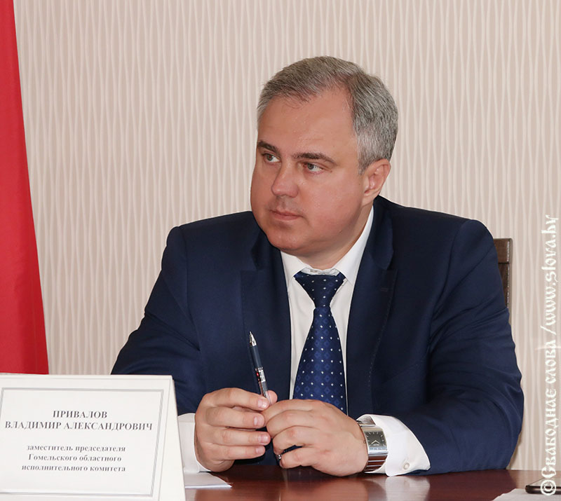 Замгубернатора области Владимир Привалов с рабочим визитом посетил Рогачев