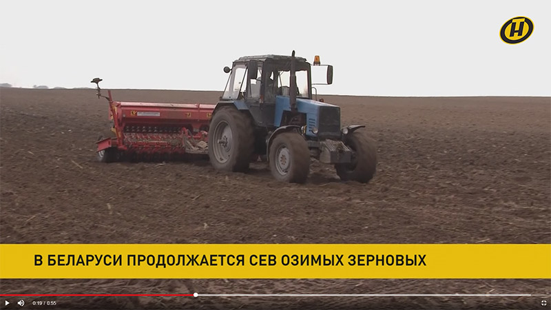 В Беларуси завершается посев озимых зерновых