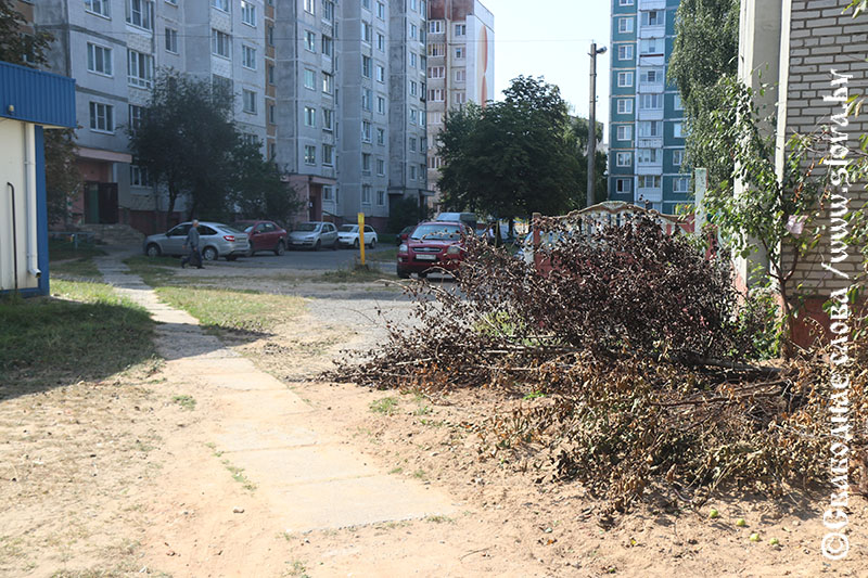 Беспорядок не красит
