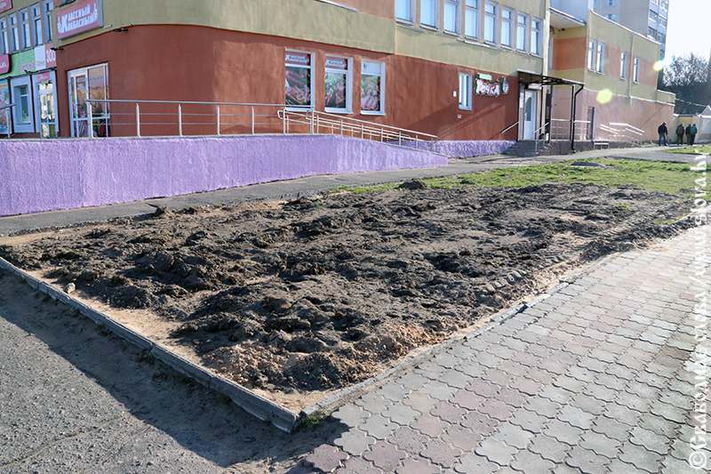 В Рогачеве есть заколдованное место возле бывшего торгового центра «Восточный»
