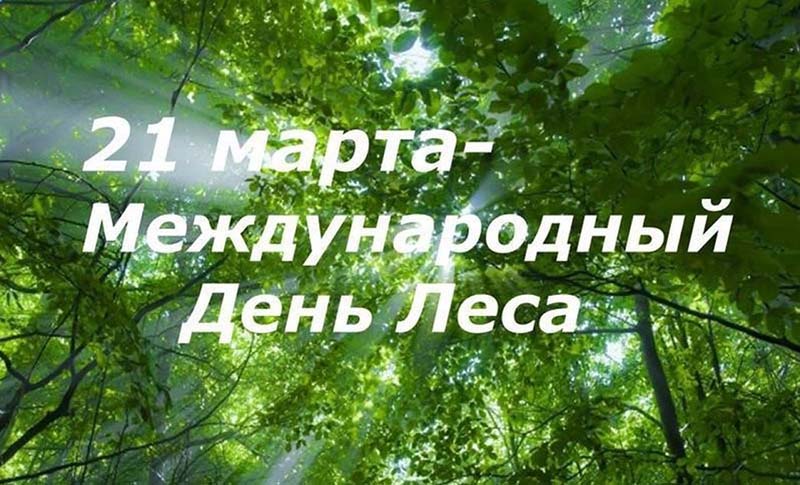 21 марта – Международный день лесов
