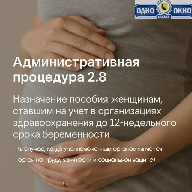 Пособие для будущих мам – просто и быстро!