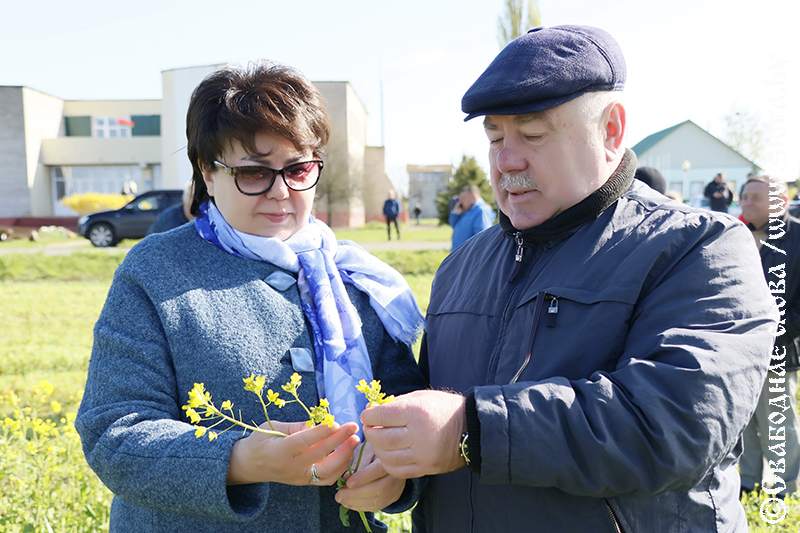 Специалисты Рогачевского МКК провели семинар для подведомственных хозяйств