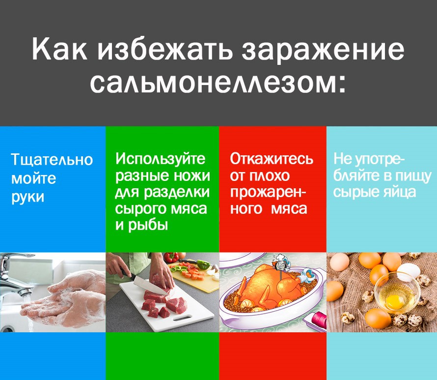 Как рогачевцам не заболеть сальмонеллезом
