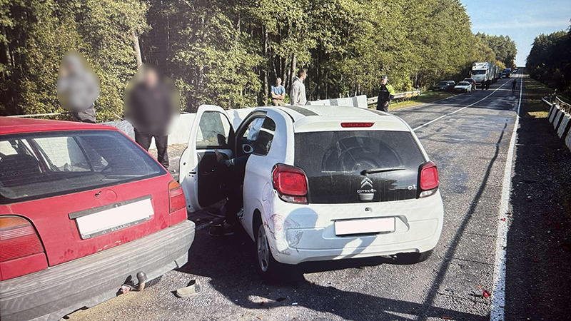 Лобовое ДТП произошло на мосту через реку Гутлянка в Рогачевском районе